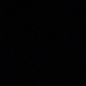 Meet your Posher, Yasmin